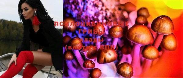 бутират Ельня