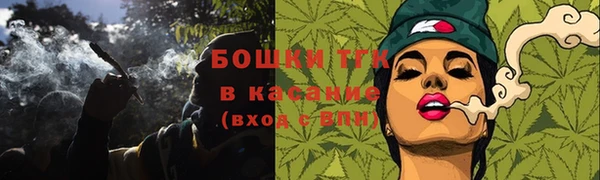 гашик Елизово