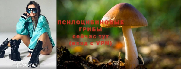 гашик Елизово