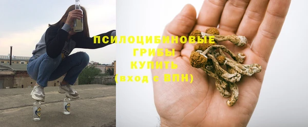 бутират Ельня