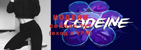 гидропоника Елабуга