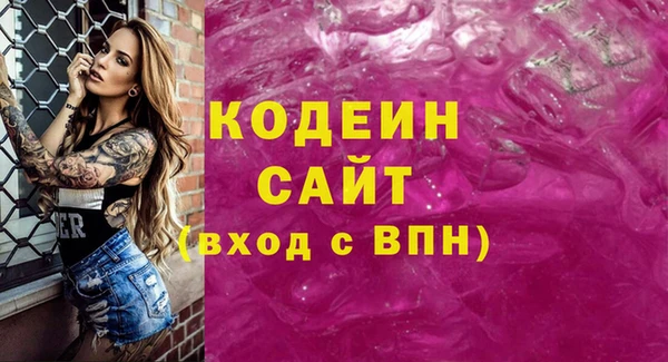 гашик Елизово