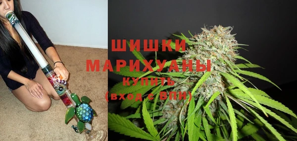 бутират Ельня