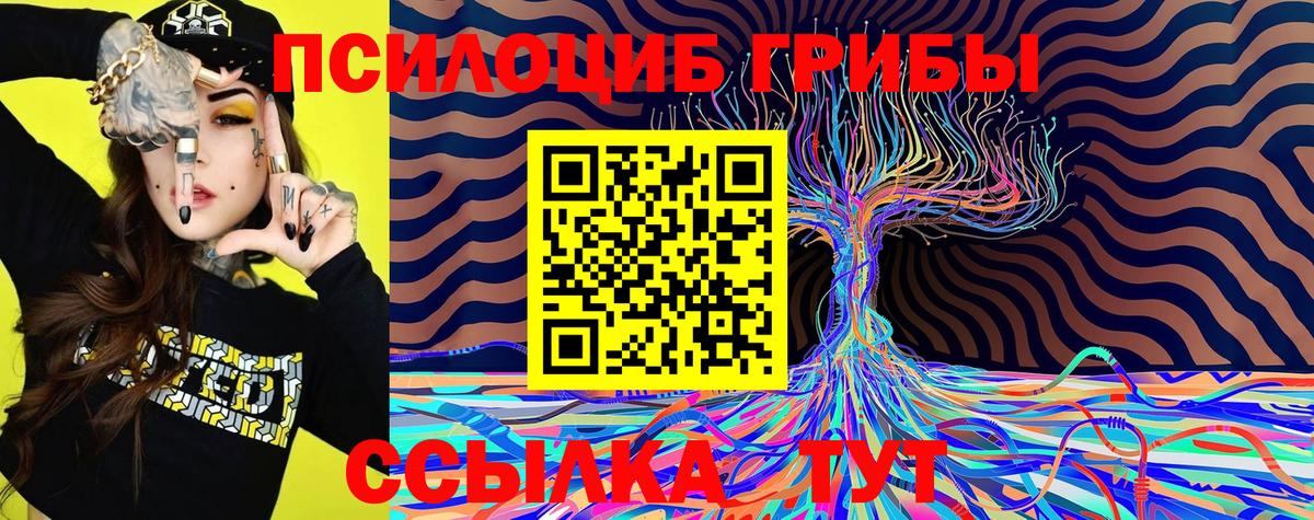 Галлюциногенные грибы мухоморы  Еманжелинск  Псилоцибиновые грибы MAGIC MUSHROOMS 